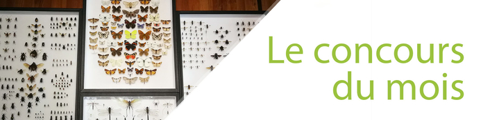article_banner_ok-concours